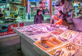 10 ведущих стран мира по экспорту рыбы и морепродуктов