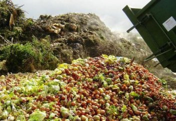 Бір жыл ішінде Еуропаның бір елі 1 жарым млн келіге тарта тағамды қоқысқа тастаған