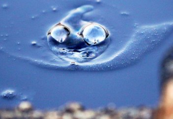 Иран хочет представить на рынок новый сорт нефти