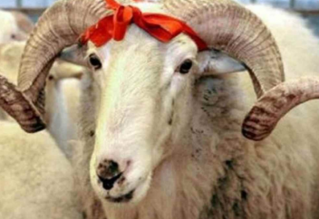 Діни басқарма Құрбан айтқа байланысты маңызды мәлімдеме жасады