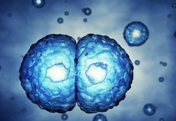 Правила поиска доноров стволовых клеток утверждены в Казахстане