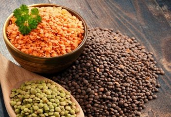 Что мешает чечевице покорить Казахстан