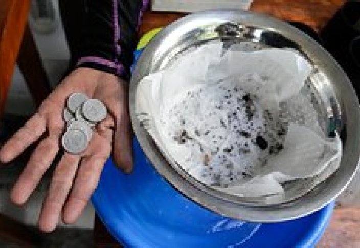 Жителям одной страны предложили платить деньги за пойманных комаров