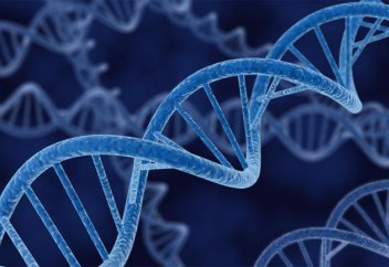 Google генетикалық зерттеу негізінде диагноз қоюдың өзгеше үлгісін ұсынбақшы