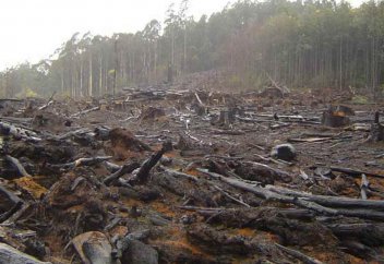 Жаңа вирустардың пайда болу себептері аталды