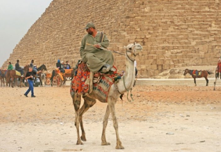 Верблюдов у египетских пирамид заменят электромобили