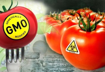 Шартарап: Өзбекстан балалар тағамына ГМО қосуға тыйым салады