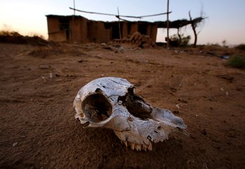 Реальная опасность глобального потепления