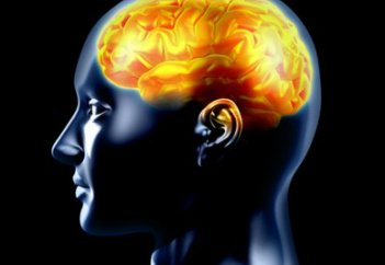 Жыл басынан бері менингококк менингитінен 15 адам көз жұмған