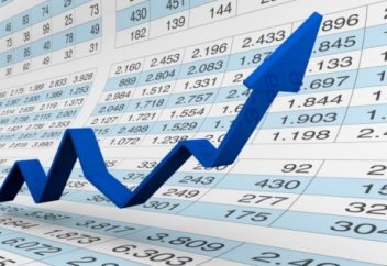 Экономикасы қарқынды дамып келе жатқан мұсылман елі