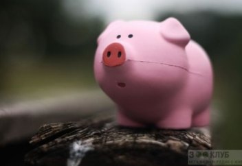 Доңыз еті туралы не білеміз?