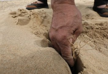 Как исчезают пустыни?