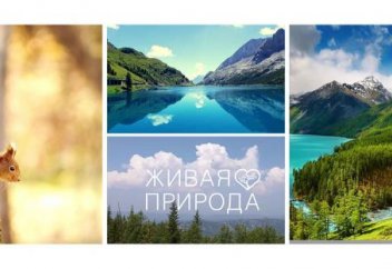 Телеарналар да халал сертификатына ие бола бастады