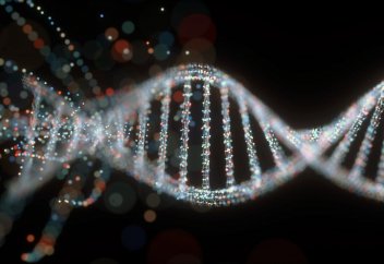 Гендік терапия сал ауруын жеңді