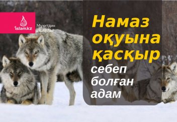 Намаз оқуына қасқыр себеп болған адам