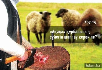 «Ақиқа» құрбанының сүйегін шаппау керек пе? Ондай нәрсе дінде бар ма?