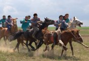 Жылқы қауіпсіздігі: көкпардағы жаңа талаптар қандай?