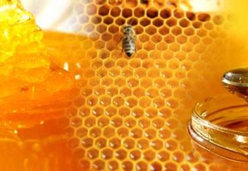 Бал өндіруден әлемде үшінші орында тұрған ел...