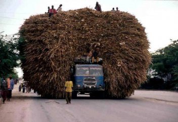 Ебін тапқан екі асар