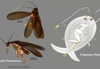 Тарақанның бұрын беймәлім түрі табылды