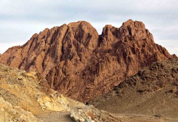 Қол астындағы қызметкер бастығының мысығын жалайды