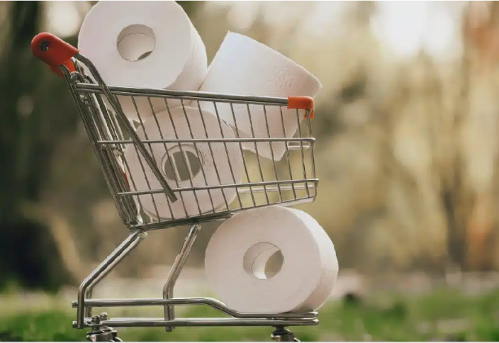 Прощаемся с туалетной бумагой – что предлагают ученые вместо нее