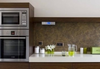 Зияны 4 есе артық: Отандық мамандар микротолқынды пештің зиянын айтып, дабыл қақты