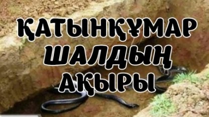 ҚАТЫНҚҰМАР ШАЛДЫҢ АҚЫРЫ...