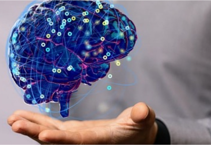 Адам миынан жасалатын биокомпьютер жасанды интеллекттен ақылды болады (видео)