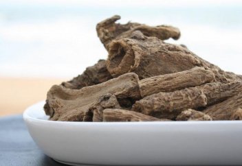 Медицина Пророка: КЫСТ АЛЬ ХИНДИ (костус)