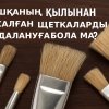 Шошқаның қылынан жасалған щеткаларды пайдалануға бола ма?