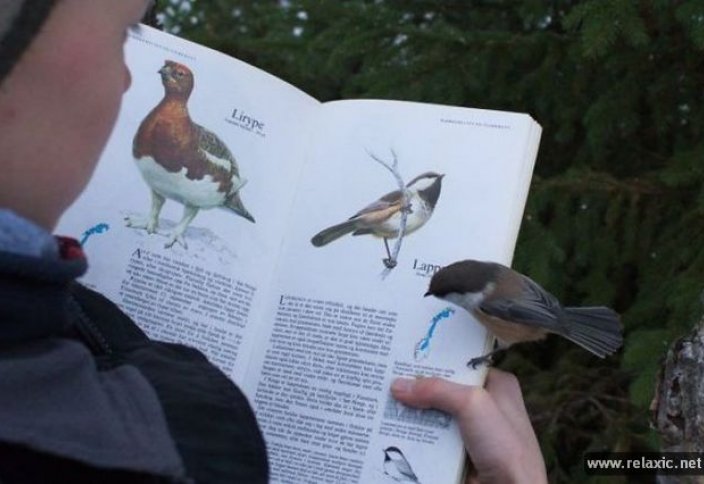 Әдейілеп бұлай жасай алмайсың (фото)