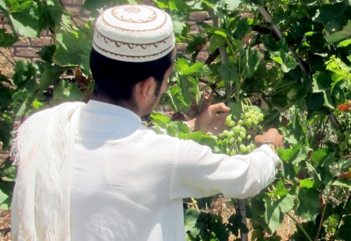 Коранический сад спасает природу (фото)