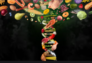 Индонезия формализует халяльные правила для импорта ГМ-продуктов