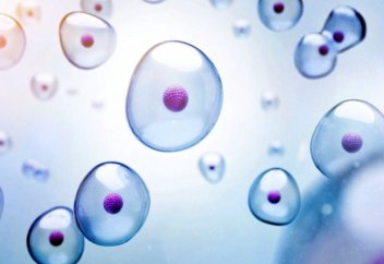 Ғалымдар жасуша қозғалысын басқаруды меңгерді