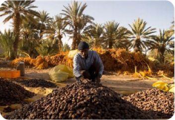 Дата Меджуль: родился в Марокко, где доминирует...