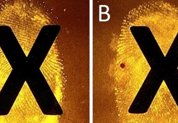 Криминалистер қағазға басып шығарар алдында және одан кейін қалған саусақ іздерін анықтауды үйренді