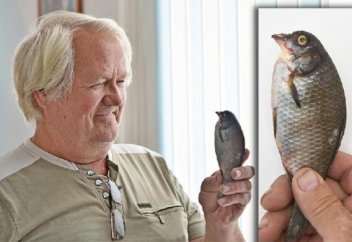 Жануарлар әлемі: Қостанай тұрғыны "торғай-балықты" ұстап алды