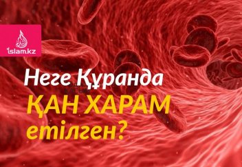 Неге Құранда қан харам етілген?