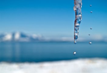 Соңғы жылдары жер беті күрт жылынып келеді