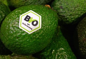 Гринвошинг в Казахстане: как выбрать экологичное?