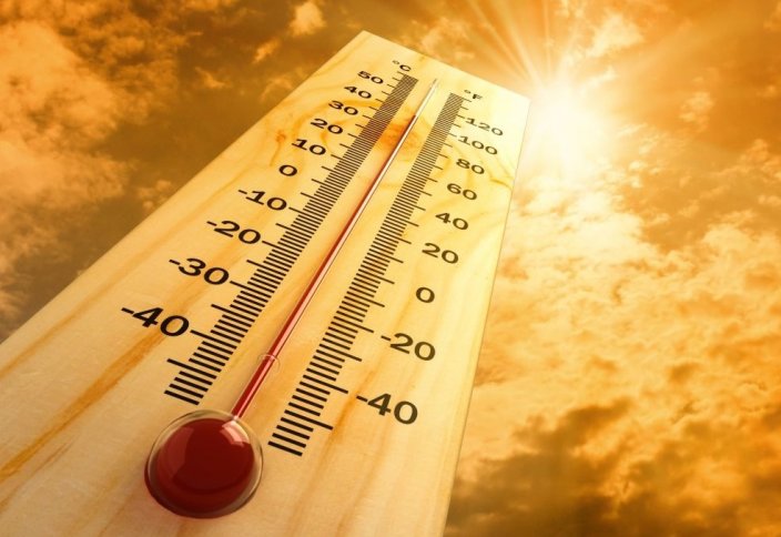 Бельгияда аптаптан бір апта ішінде 410 адам қайтыс болды