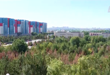 Массовая гибель деревьев наблюдается в Шымкенте