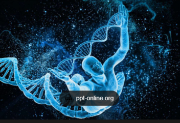 2017 жылы жоғалған азаматтың жеке басы ДНҚ арқылы анықталды