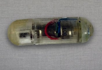 Америкалық ғалымдар тәбетті басатын бірегей капсула шығарды