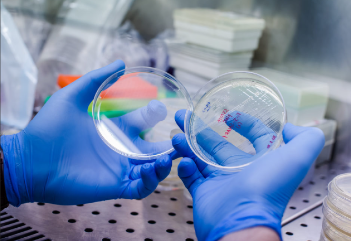 Дәрі-дәрмекке бой бермейтін инфекциялық аурулар көбейіп келеді