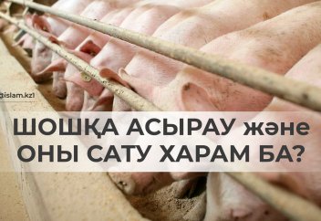 Шошқа асыраудың және оны сатудың үкімі