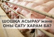 Шошқа асыраудың және оны сатудың үкімі