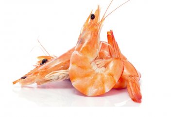 Асшаян (креветка) халал ма?