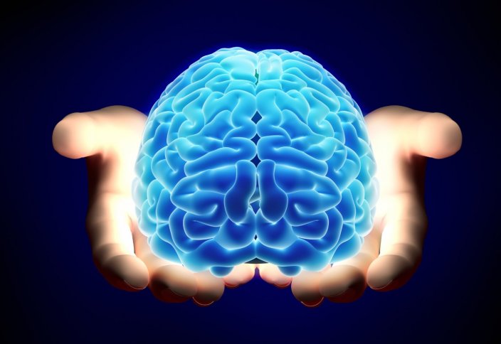 25 удивительных фактов о человеческом мозге